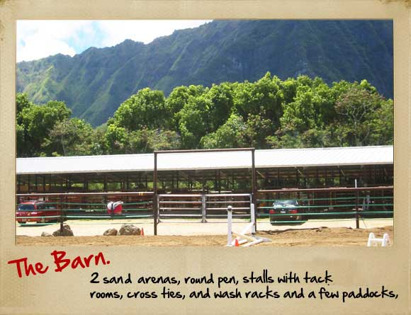 The Barn